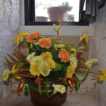 Conversa De Amicis N 8 *