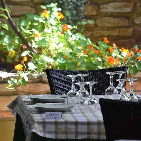 Conversa De Amicis N 8 *