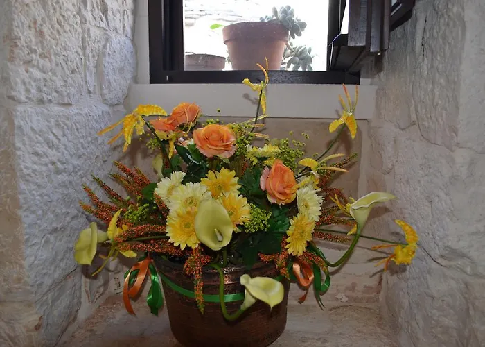 Conversa De Amicis N 8 *